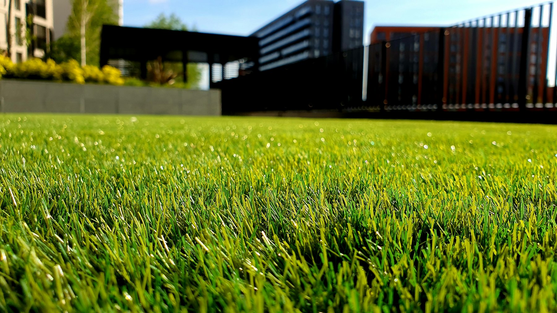 Angelegter Garten mit Weg und Staudenbeeten