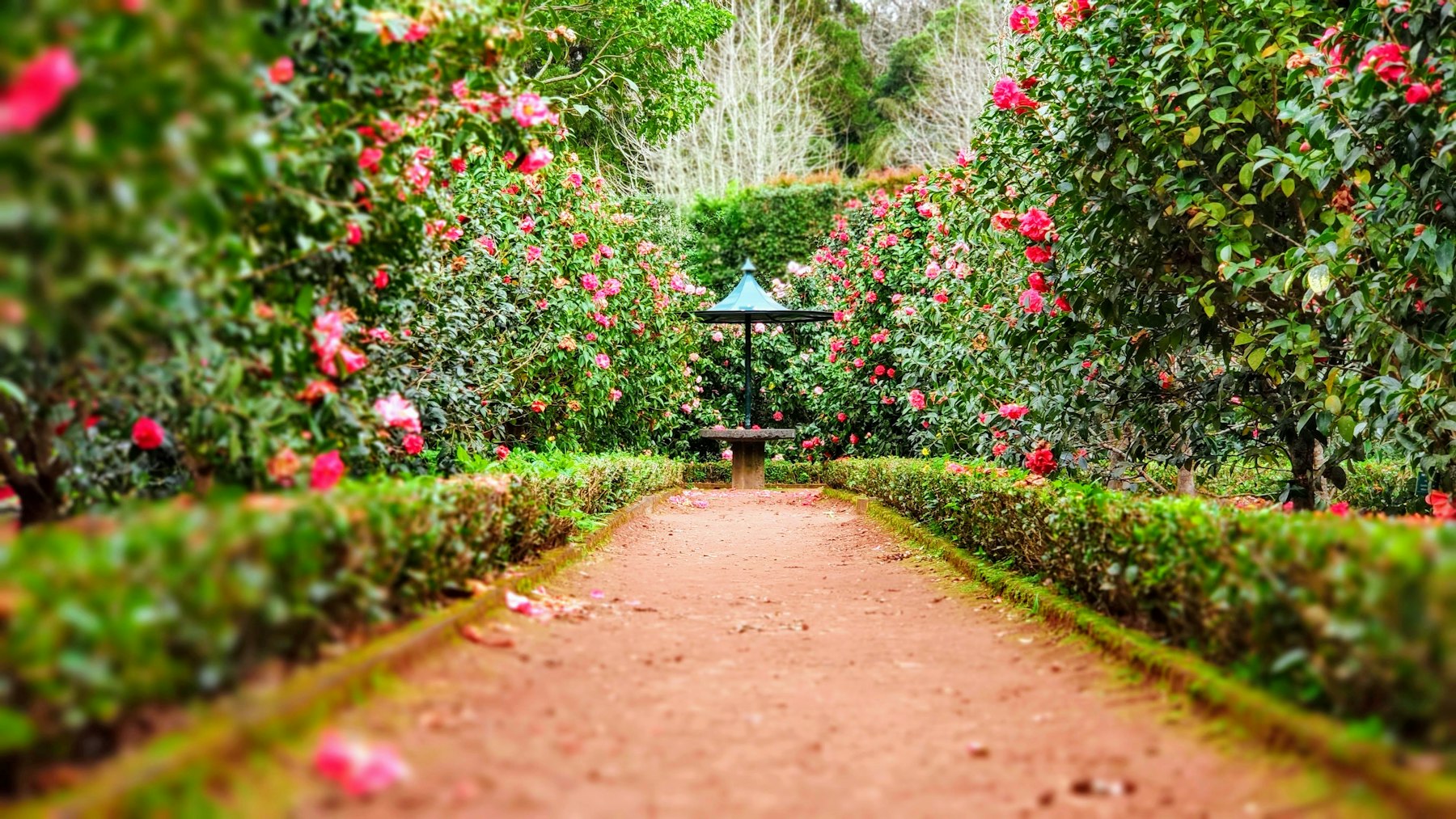 Gartenanlage